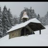 20060312_042